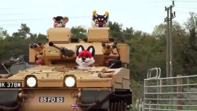 So... I put Ghost Division over Furries in tanks