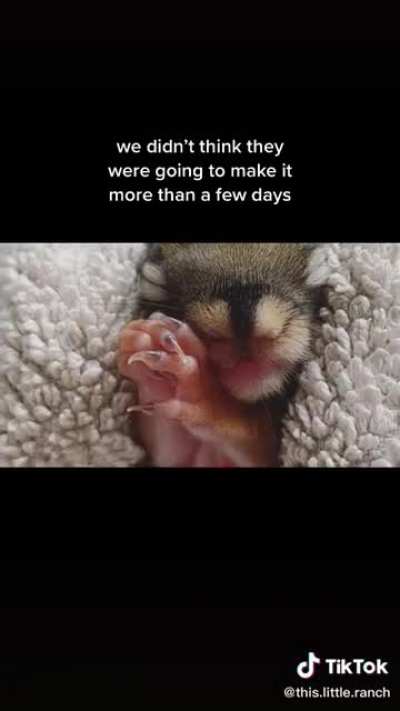 Sweet story for your Sunday