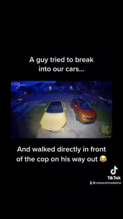 Thief tries to break into cars; walks directly in front of cop investigating on his way out