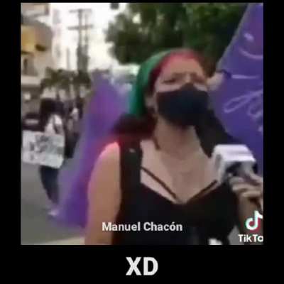 Simplemente una feminista promedio