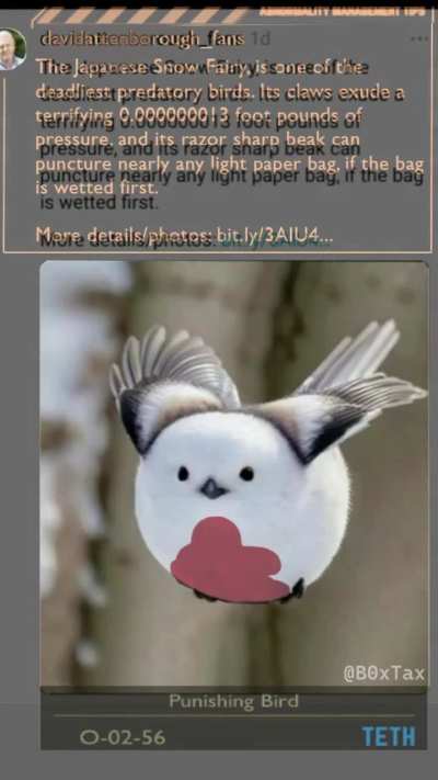 The Punishment Bird