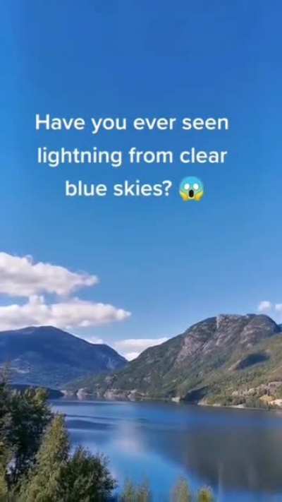 Nature is lit🔥