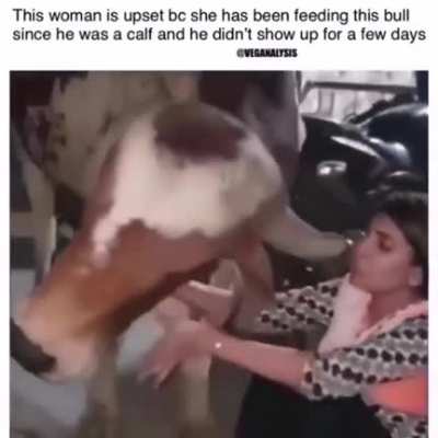 This is the cutest of apologies you will see.