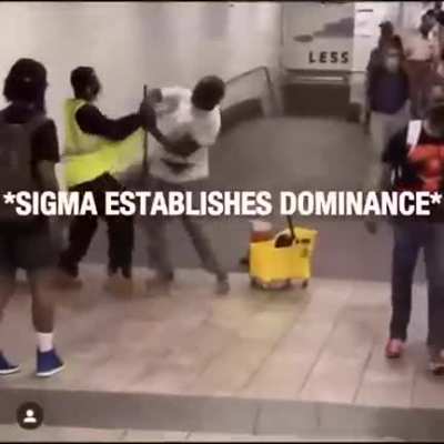 Sigma shits when and where he wants.