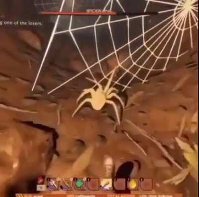 F you little spider