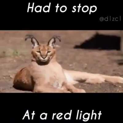 🙏