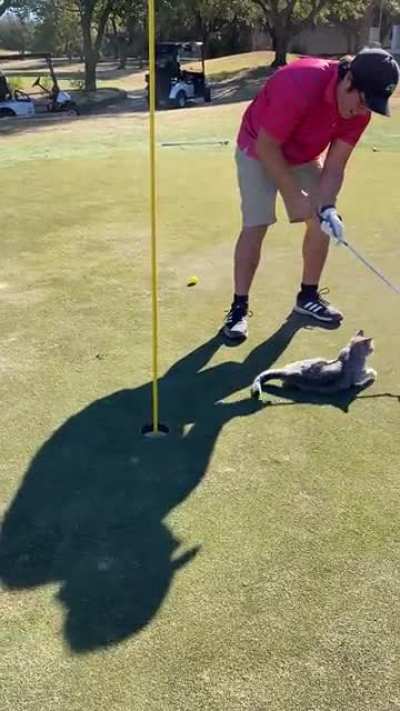 Apparently this kitty wanted to join our foursome.