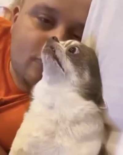 "Get a human they said, it will be fun they said"