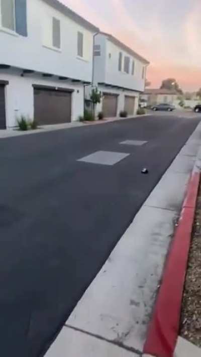 Trusting your brother with a remote-control car
