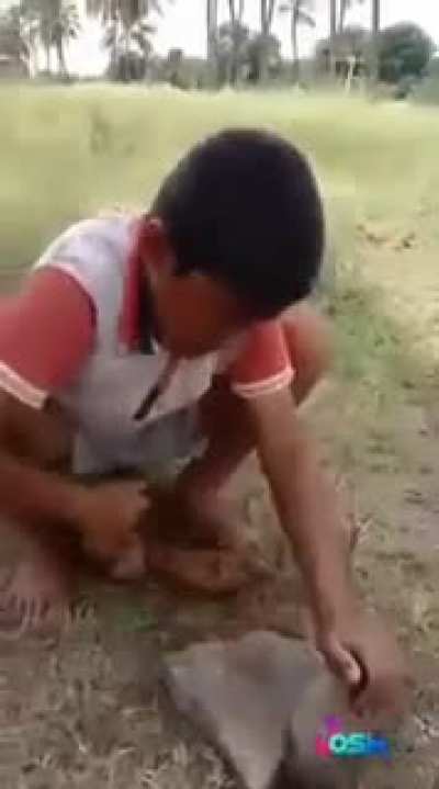 Pappu attacking BJP
