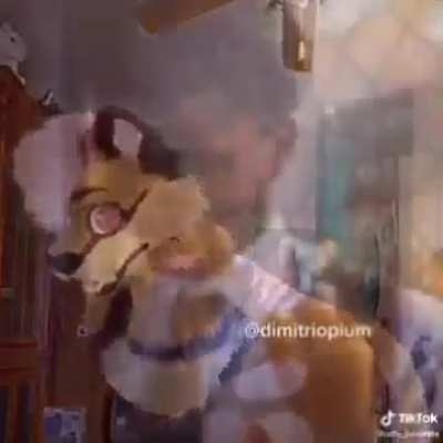 Furry_irl