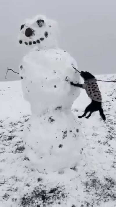InnOCenT MaN geTS HIs aRm rIppeD off bY rABid DOg WhIle siCko BystaNDers lauGH aBOUt IT