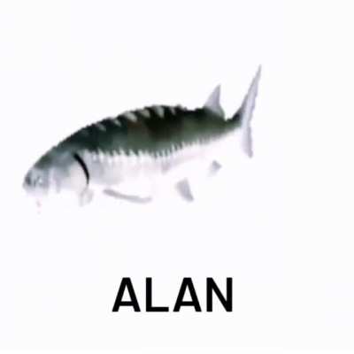 ALAN