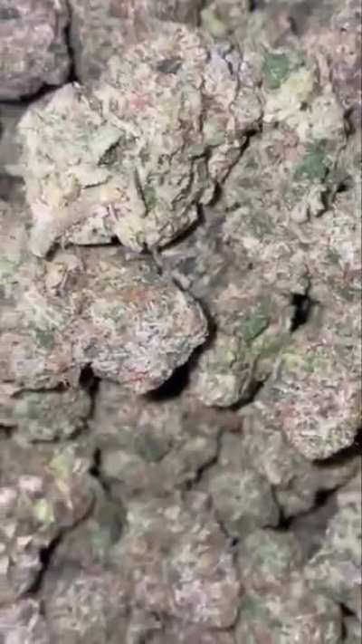 The strain is Motorbreath should I buy?