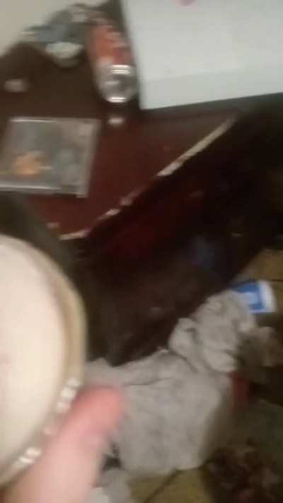 cursed_pringles