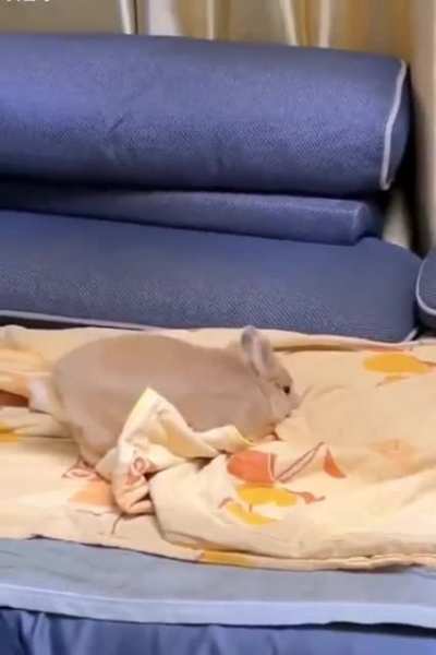 OK, I'll tuck myself in