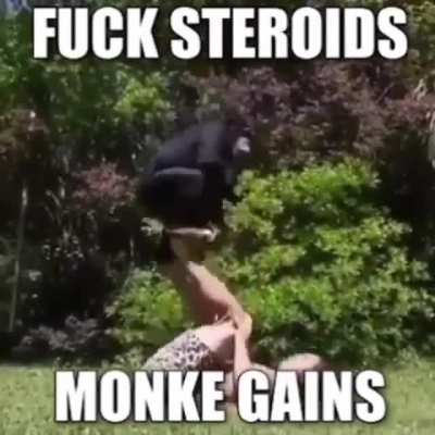 Orslok gains
