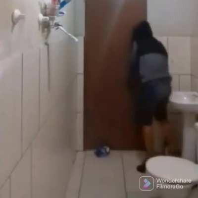 to catch the mouse