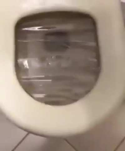 nice shield