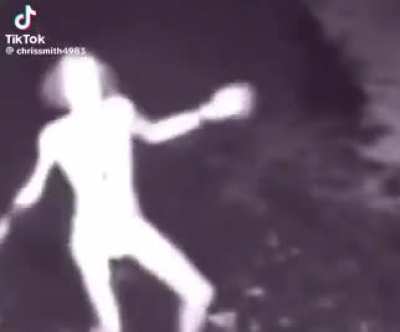Why does IT WALK LIKE THAT