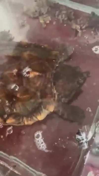 Maybe Maybe Maybe