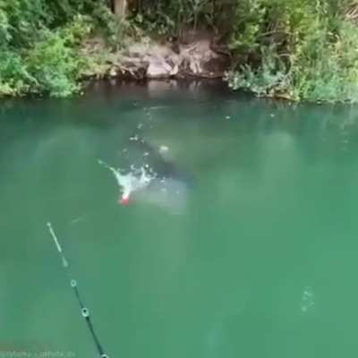 What a great day for some fishin-OH FUCK!