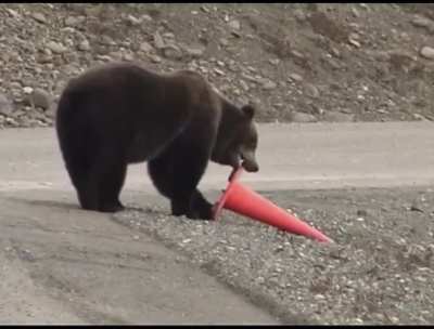 Ah yes , good bear.