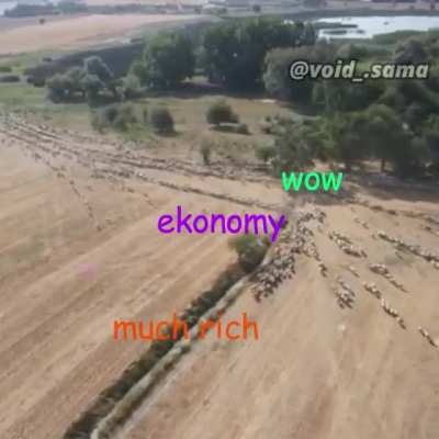 Resumen semanal de economía