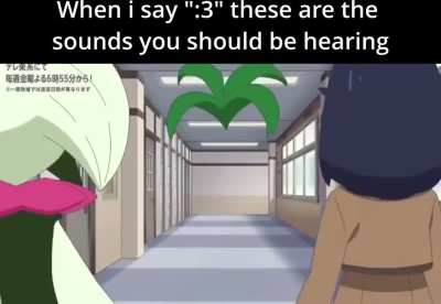 Furry😺irl