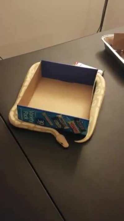 Playing with a box