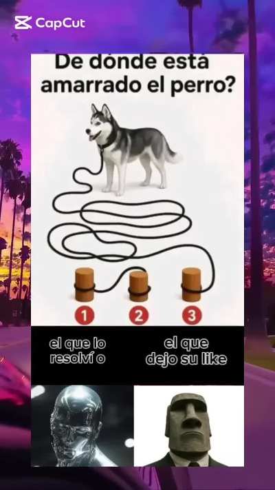 de donde est&aacute; amarrado el perro?