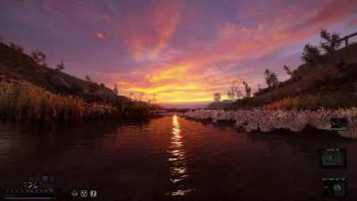 Zona, deadly beauty