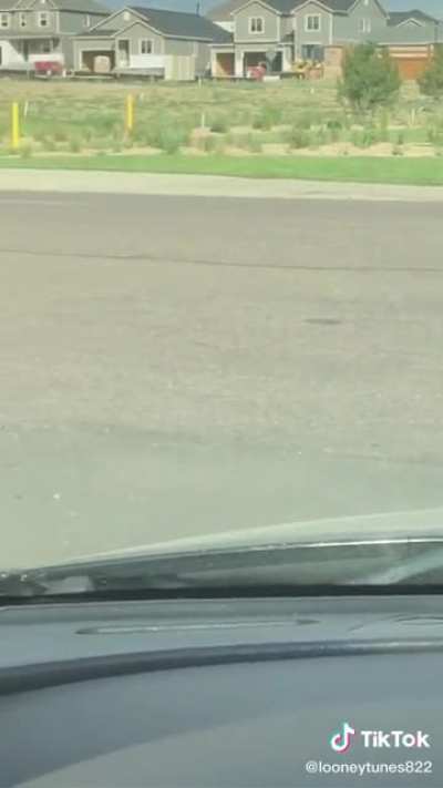 High speed chase