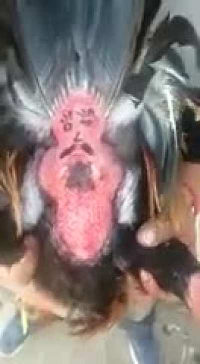 Cursed_kiss