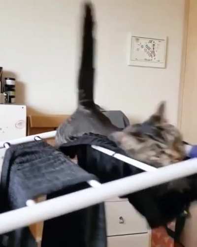 "I think I messed up on the mass distribution catculations here..."
