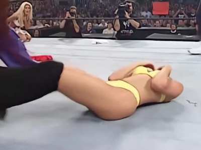 The tag team bra and panties match with Lita against Torrie Wilson and Stacy Keibler