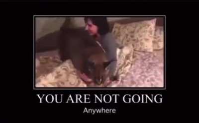 Nobody leaves