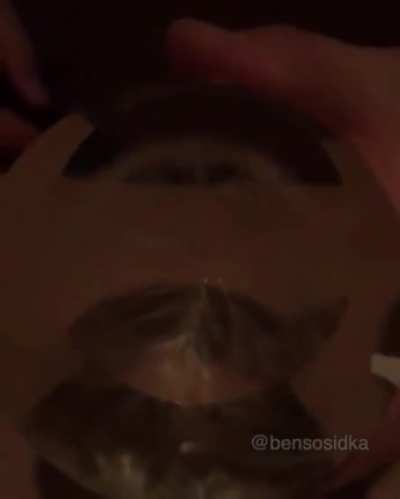 Thunder in glass, Queen go "WOW"