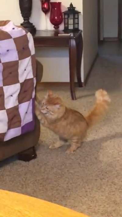 Caught in the act!!