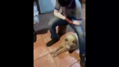Just wait for it