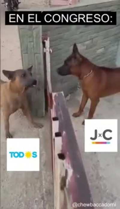 La realidad de la política Argentina