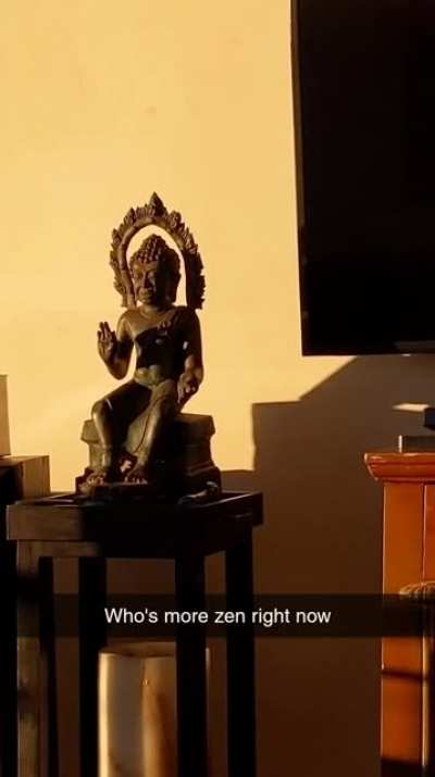 Who's more zen?