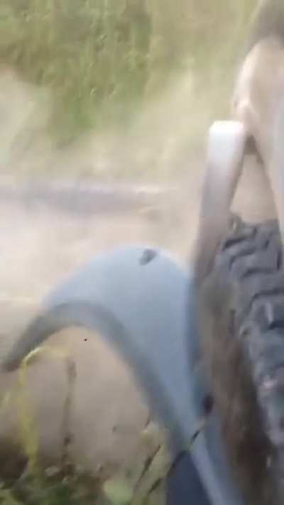 Alligator vs Jeep