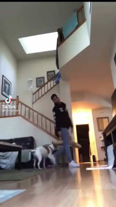 Dog: It&rsquo;s now or never
