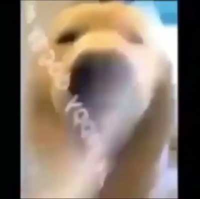 :D