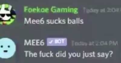 MEE6, the bot with sentience