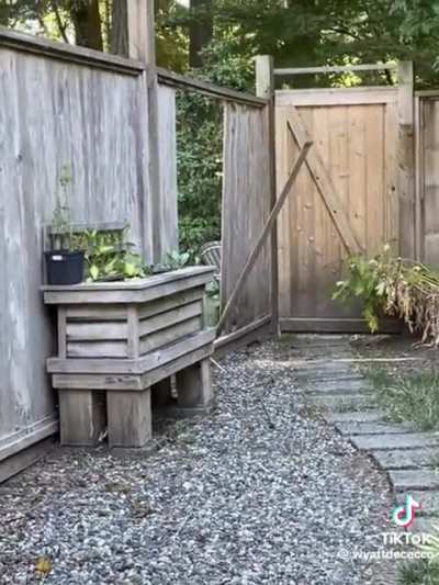 &ldquo;I meant to do that&rdquo; the bear probably.