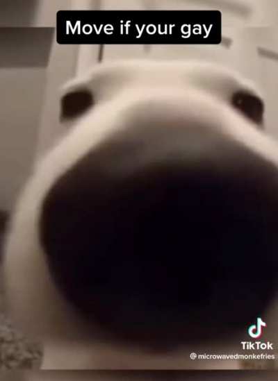 yes