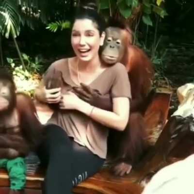 Baboon, my friend