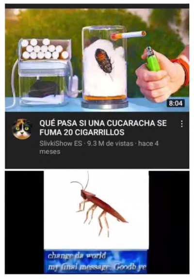 C murio